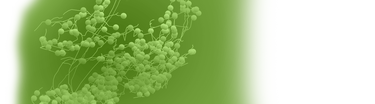 CCB Short Course: An Introduction to Information Theory in Biology